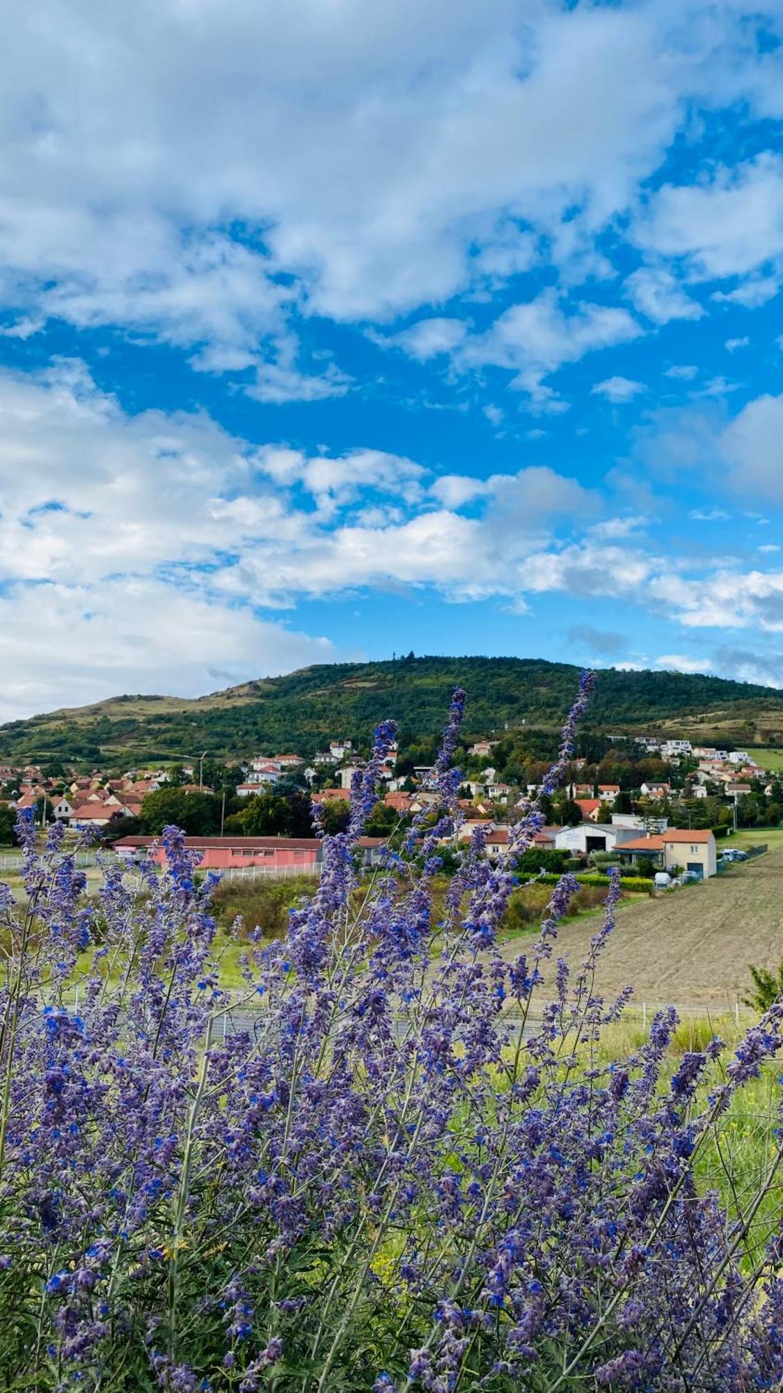 Best Western Plus Hotel Gergovie Perignat-les-Sarlieve Eksteriør bilde